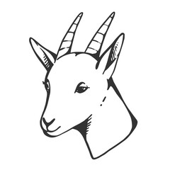 goat vector icon in simple black lines. Vector sketch