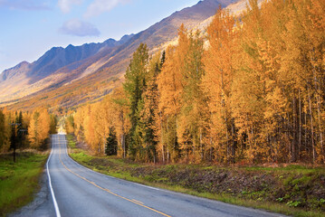 Winding road lined with gold-leafed trees in autumn near Eagle River Alaska