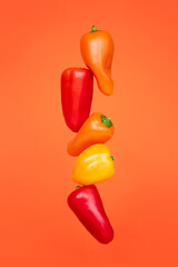 Colored peppers on a orange background. Cooking concept