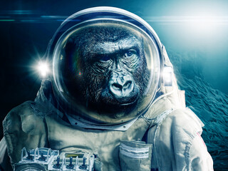 Monkey in astronaut suit explores an alien planet - illustration © Sven Bachstroem