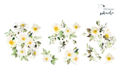 Set of vector watercolor elements with flowers anemone