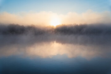 Fototapeta premium Wcześnie rano w dębowym lesie na brzegu
