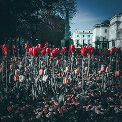 CHELTENHAM AREA LOCKDOWN 2020