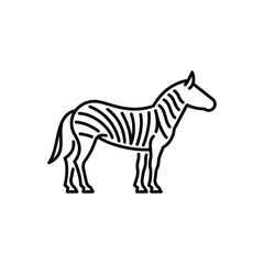 Fototapeta na wymiar Zebra vector icon. Wild animal, African savannah fauna.