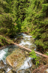 Tatry National Park stream in spring mountains , slovakia