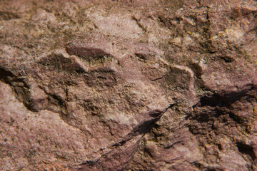 Stones texture and background. Rock texture