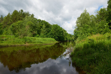 Fototapeta premium Forest blue river water landscape. Blue river water flow in forest. Forest river landscape. River in forest