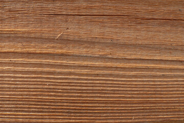 wood texture. Abstract wood texture background.