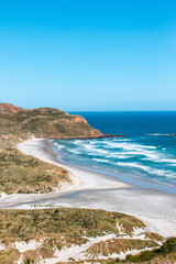 Sandfly beach, New Zealand