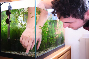Young caucasian man fitting the plants in his aquarium