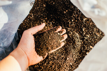 Gardener blending organic fertiliser with soil, enriching soil for plants to grow optimally. Taking...