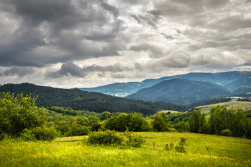 Beautiful hills and meadows on Zlatibor mountain in Serbia at the morning