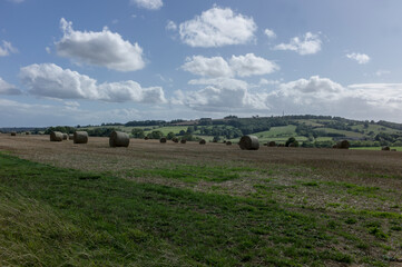 Landscape in the Cotswolds in the United Kingdom with meadows and fields and blue sky with many clouds