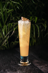  maracuja Summer detox beverage concept. Citrus fruit drinks with ice alcohol. Healthy diet cocktail with making bar tools. Vitamin fortified water