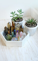 Magic gemstones minerals and plant succulents. Crystals for spiritual practice, Witchcraft, Relaxing. 