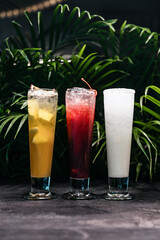 Summer detox beverage concept. Citrus fruit drinks with ice alcohol. Healthy diet cocktail with making bar tools. Vitamin fortified water