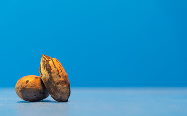 Pecan nuts on the blue background.