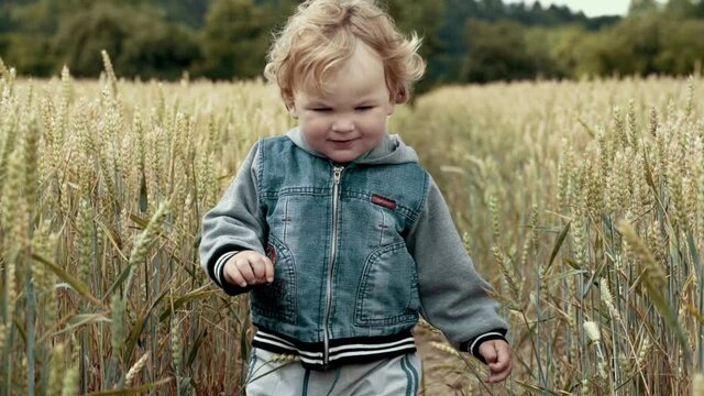 Little boy playing in wheet