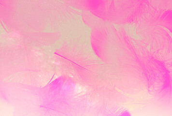 Beautiful abstract white and pink feathers on white background and soft white feather texture on pink pattern and pink background, feather background, pink banners