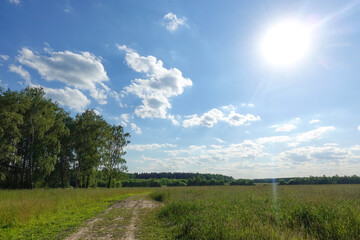 Fototapeta na wymiar Beautiful summer landscape. Blue sky with clouds. Field with green grass