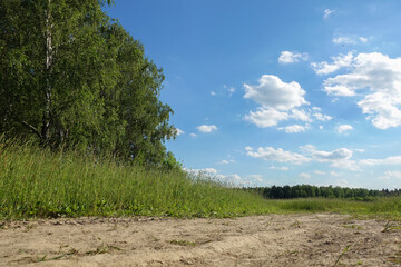 Obraz premium Beautiful summer landscape. Blue sky with clouds. Field with green grass