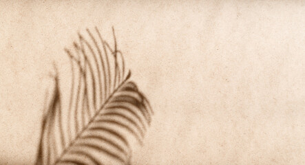 Tropics minimalist abstract blurred background of palm leaf shadow over kraft paper.