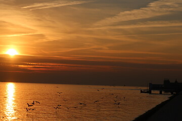 Dusk by the sea in Portugal