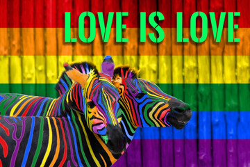 Two colorful zebras painted in the colors of the rainbow cuddle on the background of a wooden fence, painted in the form of the lgbt flag. The concept of same-sex love and gender equality.