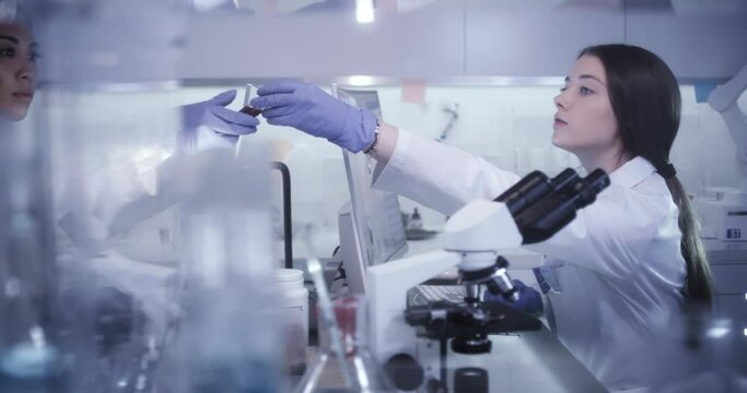 Female team working in modern laboratory. Studying genetic material with microscope. Using computer