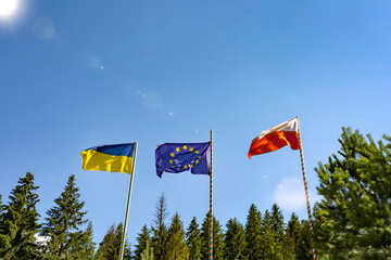 Flags of Ukraine of the European Union and Poland. Three flags on the background of a beautiful blue sky and trees.