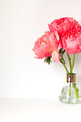 A bouquet of fresh beautiful coral peonies frame on the white table. Copy space