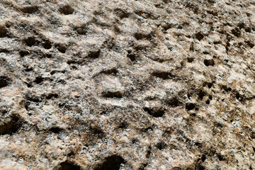 Petrified sand and mud with lichen Utah desert 1377. Wilderness desert deep dry canyon valley where ancient river flowed.