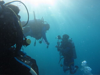 Diver group go to dive side