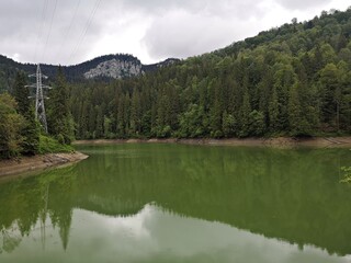 Fototapeta premium Green lake in the mountains -Summer landscape with lake and trees 