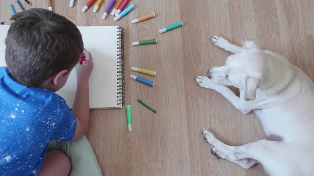 Child drawing on the wooden floor with many coloured markers, next to him lying a small white dog