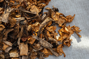 a bunch of dried mushrooms