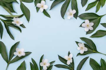 Flower composition. Frame of flowers and green leaves on a blue background, space for text. Spring background. Flat lay.