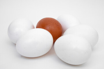White eggs and a brown egg for contrast and accent in the composition