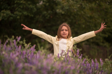 Naklejka na ściany i meble Beautiful girl at sunset in a field with purple flowers. Lavender. The child walks and travels. Rest and games. Long haired girl