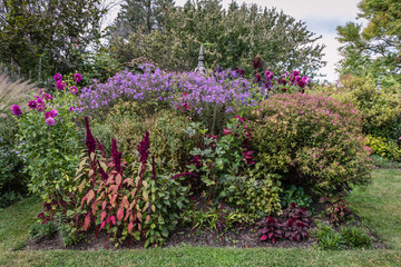Perennial garden featuring purple and pink flowers early fall