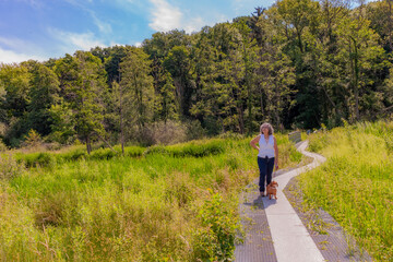 Obraz premium Mature Mexican woman with her dog standing on a metal path admiring the scenery, a swampy terrain in the middle of the forest with trees and greenery in the background, South Limburg, the Netherlands