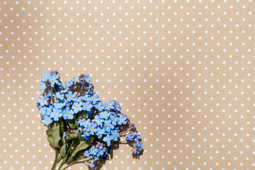 Forget-me-not flowers on the beige polka dot paper background , copy space for design