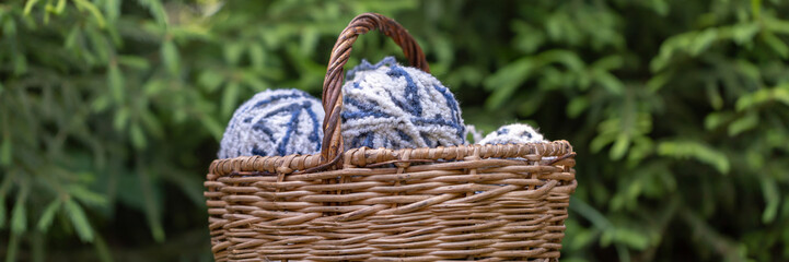 Fototapeta na wymiar Knitting yarn balls in basket on a background of green branches of spruce.