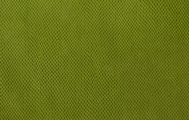 Green leather texture