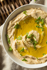 Organic Homemade Chickpea Hummus with PIta