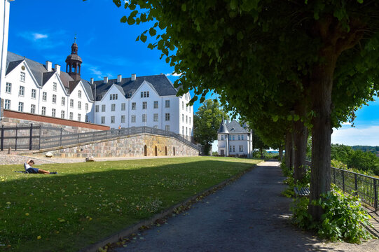 Afbeeldingen over Plons Blader in stockfoto's, vectoren en video's