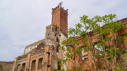 Building ruins in Halle Saale Germany