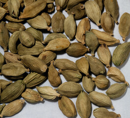 Cardamom in Isolated white background
