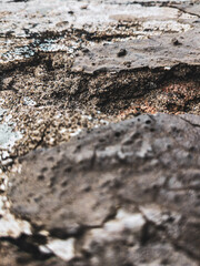 Broken Cement Wall.
