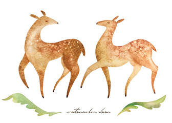 Watercolor illustration with a pair of deer. The picture boho is ideal for children's poster, print